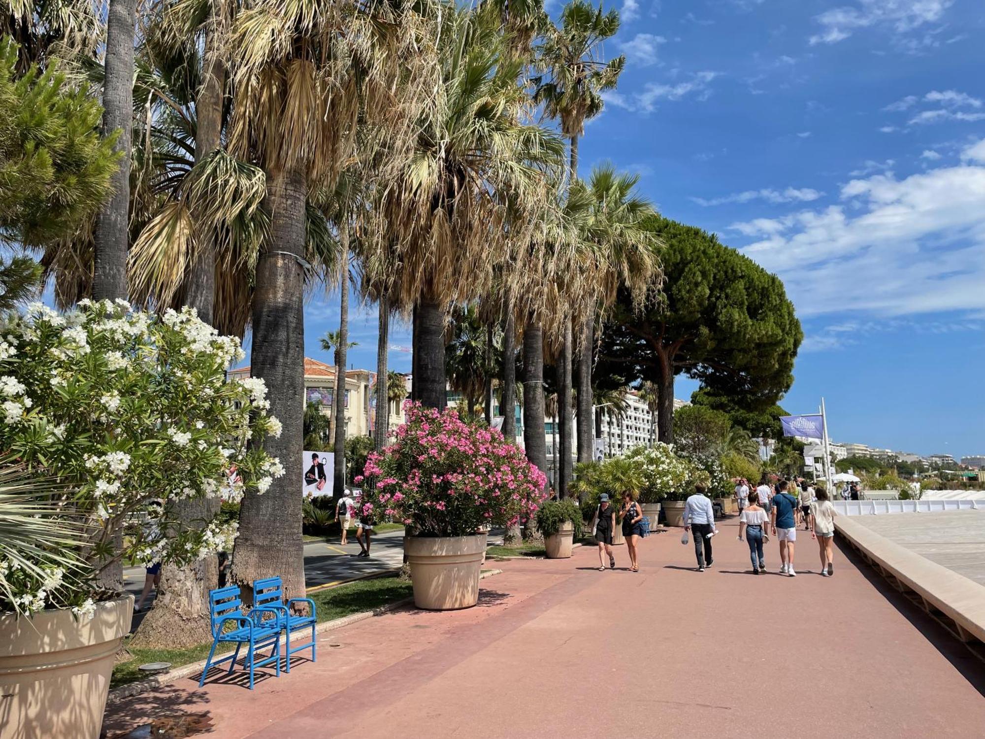 Beautiful Apartment Cannes Center Terrace Parking Exterior foto